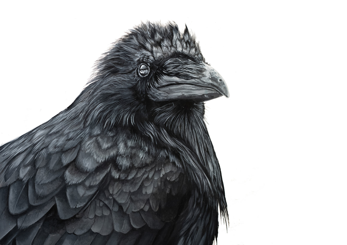 Raven Giclee Print