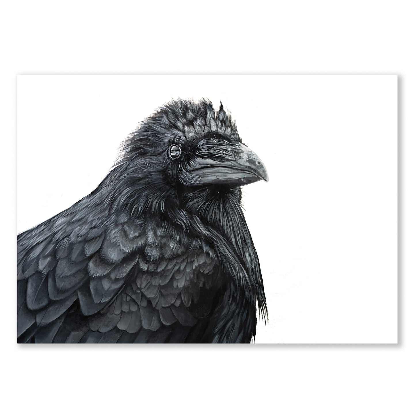 Raven Giclee Print